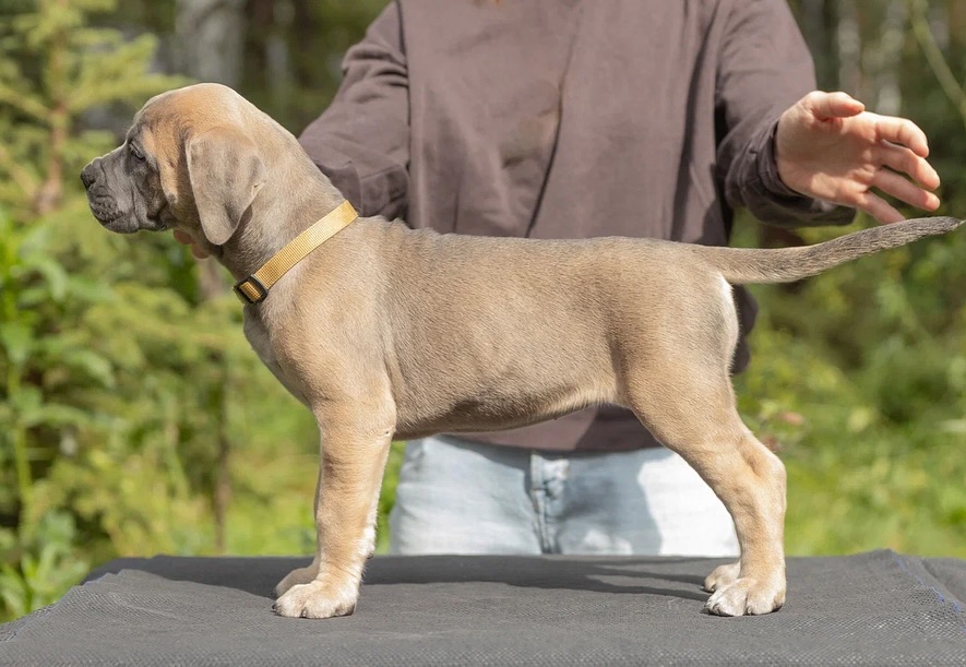 faint washed denim blue jeans