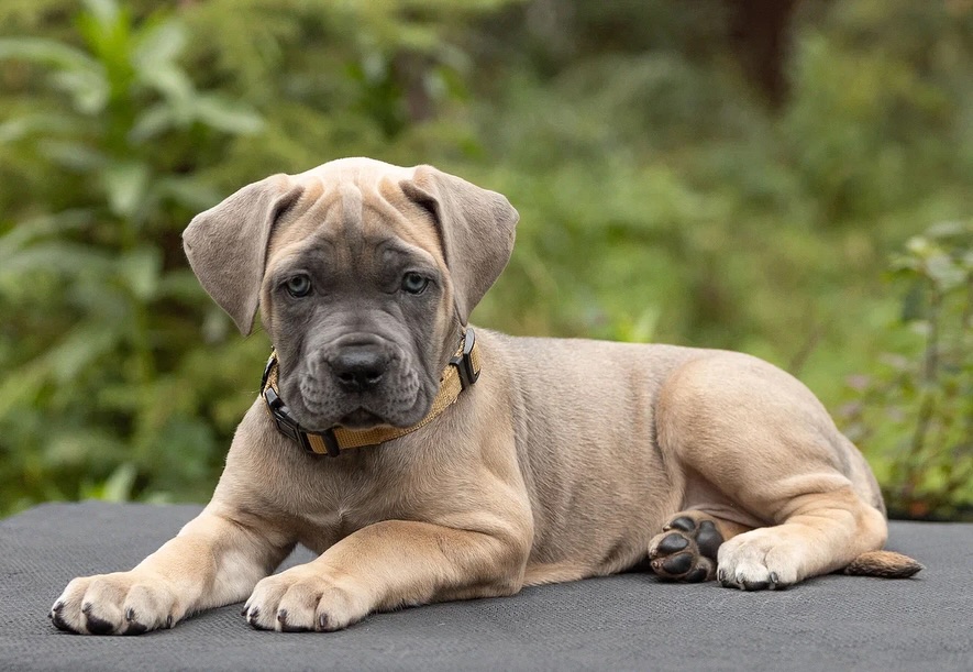 faint washed denim blue jeans