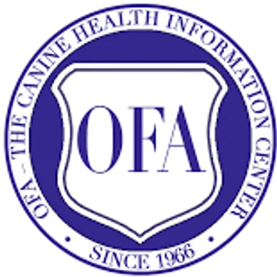 rs=w 388,h 388,cg true,m