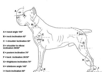 337526008 235130465634054 3866041582749184033 n