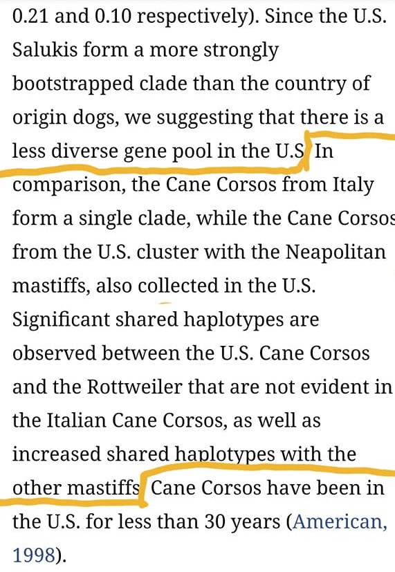 337747373 3170045183297868 5852013658569939425 n