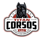 chatgpt image 1 mars 2026 12 40 51 removebg preview